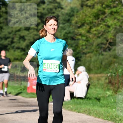 27.09.2026 - 35. Volkslauf durch das schöne Alstertal Dr. Thomas Lammeyer http://msf.ph/oto/10566567 27.09.2026 10:40:34 Laufen 14065 meine-sportfotos.de