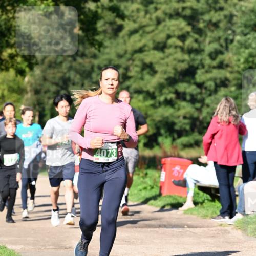 27.09.2026 - 35. Volkslauf durch das schöne Alstertal Dr. Thomas Lammeyer http://msf.ph/oto/10566572 27.09.2026 10:40:35 Laufen 4073 meine-sportfotos.de