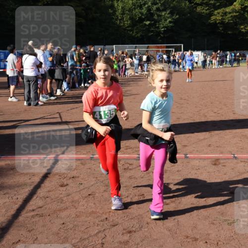 27.09.2026 - 35. Volkslauf durch das schöne Alstertal Strokosch-Dieckow http://msf.ph/oto/10566575 27.09.2026 11:03:47 Ziel 4135, 4136, 4212, 4950 meine-sportfotos.de