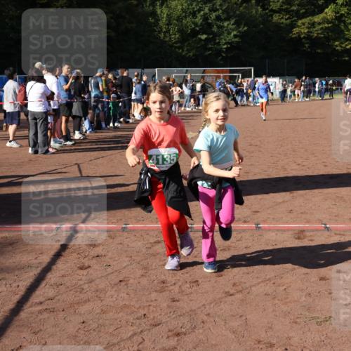 27.09.2026 - 35. Volkslauf durch das schöne Alstertal Strokosch-Dieckow http://msf.ph/oto/10566590 27.09.2026 11:03:47 Ziel 4135, 4136, 4212, 4950 meine-sportfotos.de