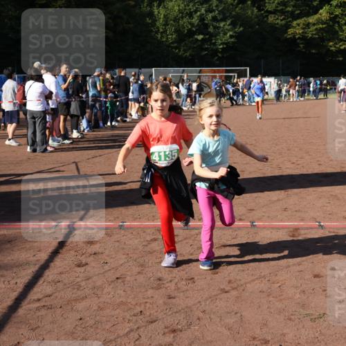 27.09.2026 - 35. Volkslauf durch das schöne Alstertal Strokosch-Dieckow http://msf.ph/oto/10566595 27.09.2026 11:03:47 Ziel 4135, 4136, 4212, 4950 meine-sportfotos.de