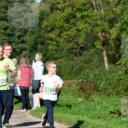 27.09.2026 - 35. Volkslauf durch das schöne Alstertal Dr. Thomas Lammeyer http://msf.ph/oto/10566621 27.09.2026 10:40:51 Laufen 242, 4213 meine-sportfotos.de
