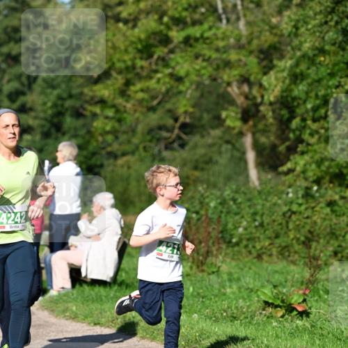 27.09.2026 - 35. Volkslauf durch das schöne Alstertal Dr. Thomas Lammeyer http://msf.ph/oto/10566625 27.09.2026 10:40:51 Laufen 4242, 4213 meine-sportfotos.de