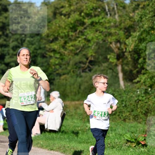 27.09.2026 - 35. Volkslauf durch das schöne Alstertal Dr. Thomas Lammeyer http://msf.ph/oto/10566627 27.09.2026 10:40:52 Laufen 4242, 4213 meine-sportfotos.de