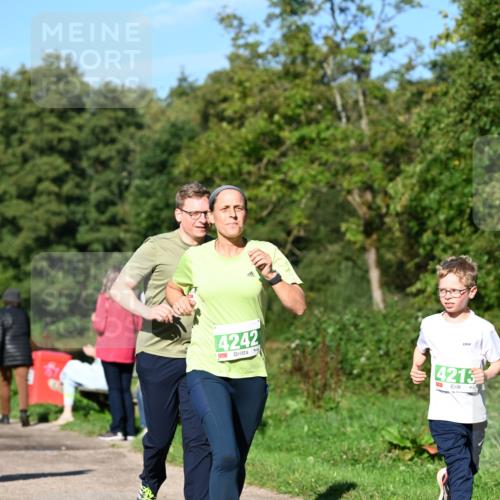 27.09.2026 - 35. Volkslauf durch das schöne Alstertal Dr. Thomas Lammeyer http://msf.ph/oto/10566632 27.09.2026 10:40:52 Laufen 4242, 4213 meine-sportfotos.de