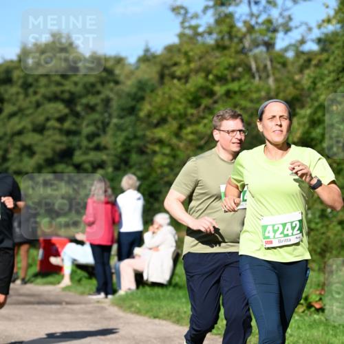 27.09.2026 - 35. Volkslauf durch das schöne Alstertal Dr. Thomas Lammeyer http://msf.ph/oto/10566639 27.09.2026 10:40:53 Laufen 4242 meine-sportfotos.de