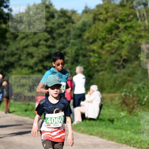 27.09.2026 - 35. Volkslauf durch das schöne Alstertal Dr. Thomas Lammeyer http://msf.ph/oto/10566672 27.09.2026 10:40:58 Laufen 4060 meine-sportfotos.de