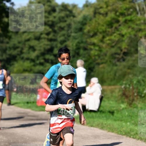 27.09.2026 - 35. Volkslauf durch das schöne Alstertal Dr. Thomas Lammeyer http://msf.ph/oto/10566673 27.09.2026 10:40:58 Laufen 14000 meine-sportfotos.de