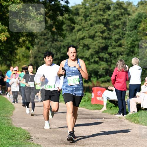 27.09.2026 - 35. Volkslauf durch das schöne Alstertal Dr. Thomas Lammeyer http://msf.ph/oto/10566679 27.09.2026 10:40:59 Laufen 4179, 4245 meine-sportfotos.de