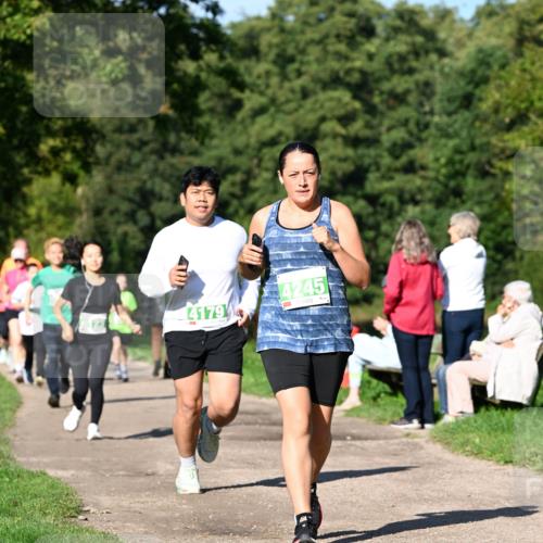 27.09.2026 - 35. Volkslauf durch das schöne Alstertal Dr. Thomas Lammeyer http://msf.ph/oto/10566687 27.09.2026 10:41:00 Laufen 4179, 4245 meine-sportfotos.de