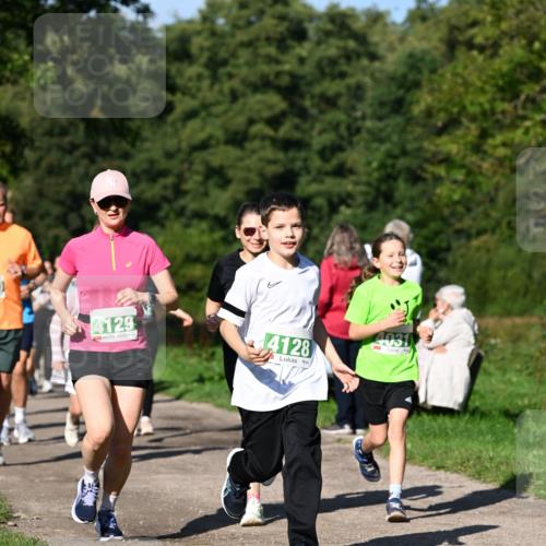 27.09.2026 - 35. Volkslauf durch das schöne Alstertal Dr. Thomas Lammeyer http://msf.ph/oto/10566748 27.09.2026 10:41:09 Laufen 4129, 4128, 4031 meine-sportfotos.de