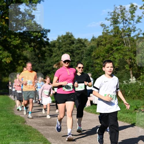 27.09.2026 - 35. Volkslauf durch das schöne Alstertal Dr. Thomas Lammeyer http://msf.ph/oto/10566755 27.09.2026 10:41:10 Laufen 130, 4134, 4129, 078, 428 meine-sportfotos.de