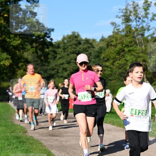 27.09.2026 - 35. Volkslauf durch das schöne Alstertal Dr. Thomas Lammeyer http://msf.ph/oto/10566759 27.09.2026 10:41:10 Laufen 130, 4129, 078, 4128 meine-sportfotos.de
