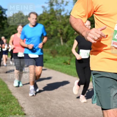 27.09.2026 - 35. Volkslauf durch das schöne Alstertal Dr. Thomas Lammeyer http://msf.ph/oto/10566784 27.09.2026 10:41:16 Laufen 4130 meine-sportfotos.de