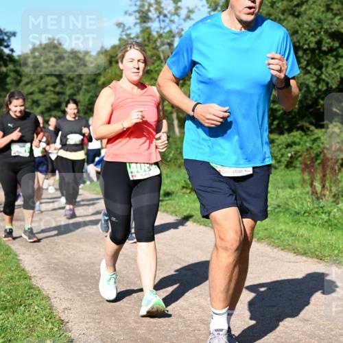 27.09.2026 - 35. Volkslauf durch das schöne Alstertal Dr. Thomas Lammeyer http://msf.ph/oto/10566787 27.09.2026 10:41:17 Laufen 4005 meine-sportfotos.de