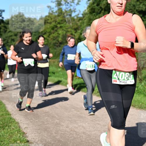 27.09.2026 - 35. Volkslauf durch das schöne Alstertal Dr. Thomas Lammeyer http://msf.ph/oto/10566795 27.09.2026 10:41:18 Laufen 4117, 4080 meine-sportfotos.de