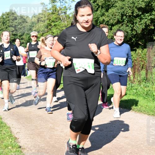 27.09.2026 - 35. Volkslauf durch das schöne Alstertal Dr. Thomas Lammeyer http://msf.ph/oto/10566807 27.09.2026 10:41:19 Laufen 4155, 161 meine-sportfotos.de