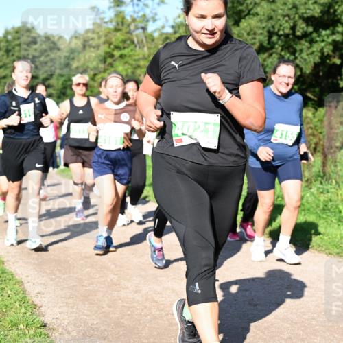 27.09.2026 - 35. Volkslauf durch das schöne Alstertal Dr. Thomas Lammeyer http://msf.ph/oto/10566808 27.09.2026 10:41:19 Laufen 15, 4155 meine-sportfotos.de