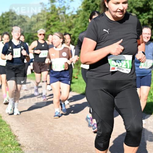 27.09.2026 - 35. Volkslauf durch das schöne Alstertal Dr. Thomas Lammeyer http://msf.ph/oto/10566810 27.09.2026 10:41:20 Laufen  meine-sportfotos.de
