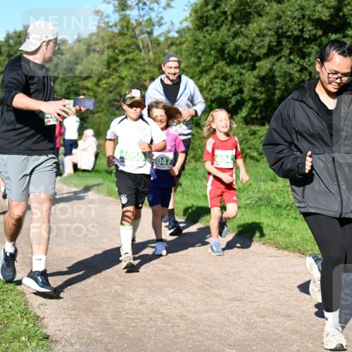 27.09.2026 - 35. Volkslauf durch das schöne Alstertal Dr. Thomas Lammeyer http://msf.ph/oto/10566831 27.09.2026 10:41:27 Laufen 4050047 meine-sportfotos.de