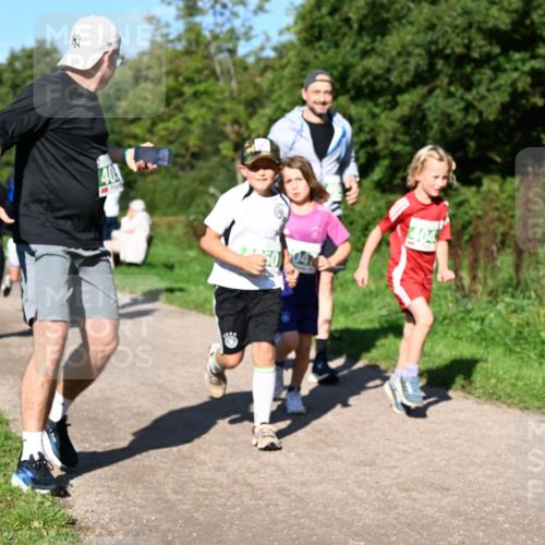 27.09.2026 - 35. Volkslauf durch das schöne Alstertal Dr. Thomas Lammeyer http://msf.ph/oto/10566835 27.09.2026 10:41:28 Laufen 1, 40, 404 meine-sportfotos.de