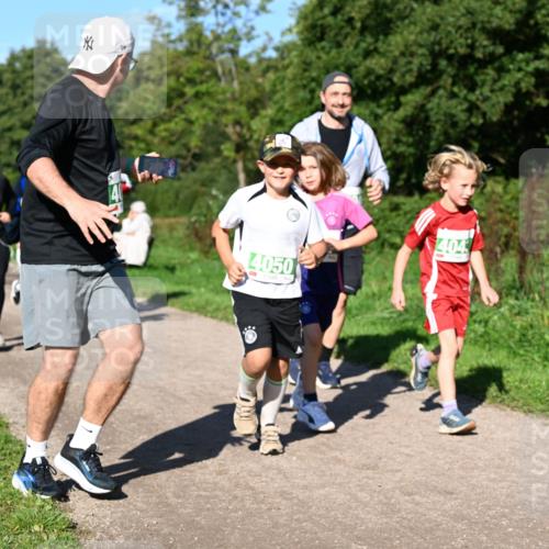 27.09.2026 - 35. Volkslauf durch das schöne Alstertal Dr. Thomas Lammeyer http://msf.ph/oto/10566836 27.09.2026 10:41:28 Laufen 4 meine-sportfotos.de