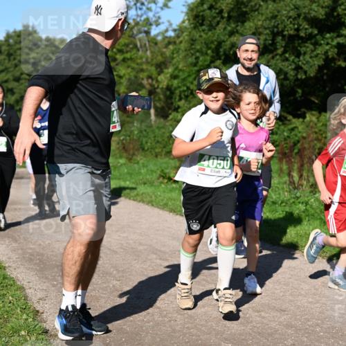 27.09.2026 - 35. Volkslauf durch das schöne Alstertal Dr. Thomas Lammeyer http://msf.ph/oto/10566840 27.09.2026 10:41:28 Laufen 4050, 404 meine-sportfotos.de