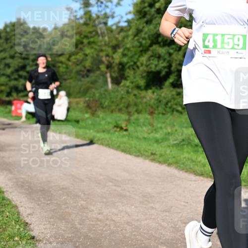 27.09.2026 - 35. Volkslauf durch das schöne Alstertal Dr. Thomas Lammeyer http://msf.ph/oto/10566907 27.09.2026 10:41:38 Laufen 4159 meine-sportfotos.de