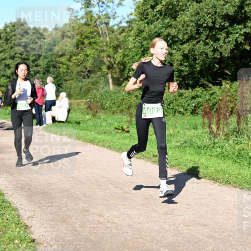 27.09.2026 - 35. Volkslauf durch das schöne Alstertal Dr. Thomas Lammeyer http://msf.ph/oto/10566949 27.09.2026 10:41:43 Laufen 4092 meine-sportfotos.de