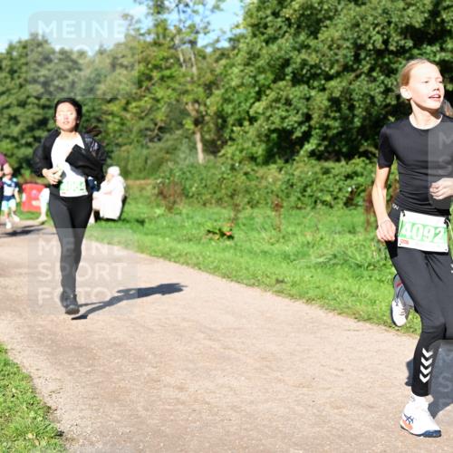 27.09.2026 - 35. Volkslauf durch das schöne Alstertal Dr. Thomas Lammeyer http://msf.ph/oto/10566952 27.09.2026 10:41:43 Laufen 4092 meine-sportfotos.de