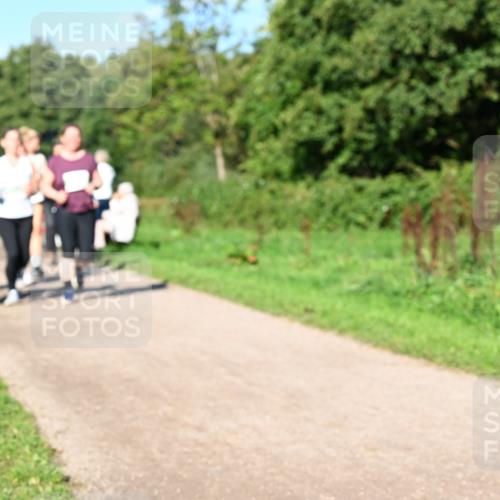 27.09.2026 - 35. Volkslauf durch das schöne Alstertal Dr. Thomas Lammeyer http://msf.ph/oto/10566982 27.09.2026 10:41:47 Laufen  meine-sportfotos.de
