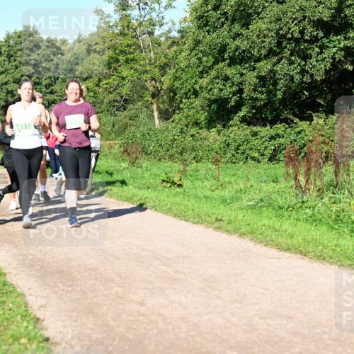 27.09.2026 - 35. Volkslauf durch das schöne Alstertal Dr. Thomas Lammeyer http://msf.ph/oto/10566988 27.09.2026 10:41:47 Laufen 24115 meine-sportfotos.de