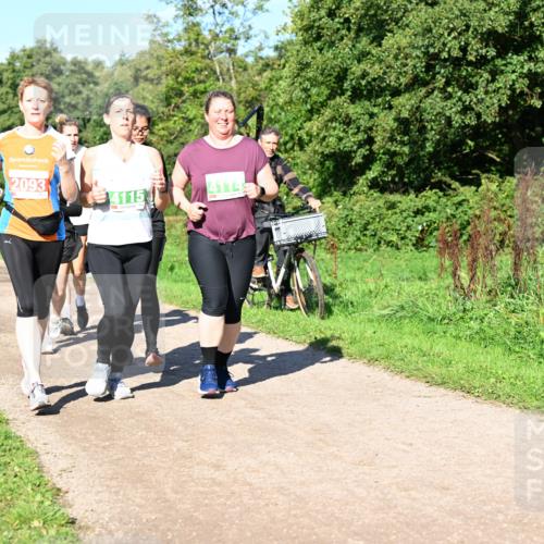 27.09.2026 - 35. Volkslauf durch das schöne Alstertal Dr. Thomas Lammeyer http://msf.ph/oto/10567000 27.09.2026 10:41:49 Laufen 2093, 4114, 4115 meine-sportfotos.de