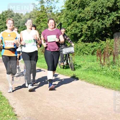 27.09.2026 - 35. Volkslauf durch das schöne Alstertal Dr. Thomas Lammeyer http://msf.ph/oto/10567001 27.09.2026 10:41:49 Laufen 2093, 4115, 4114 meine-sportfotos.de