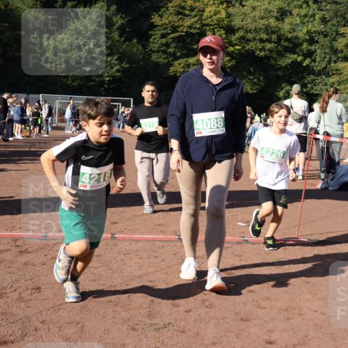 27.09.2026 - 35. Volkslauf durch das schöne Alstertal Strokosch-Dieckow http://msf.ph/oto/10567002 27.09.2026 11:02:24 Ziel 4088, 4218, 4219, 4226, 4238 meine-sportfotos.de