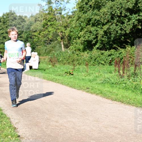 27.09.2026 - 35. Volkslauf durch das schöne Alstertal Dr. Thomas Lammeyer http://msf.ph/oto/10567050 27.09.2026 10:41:57 Laufen 4108 meine-sportfotos.de