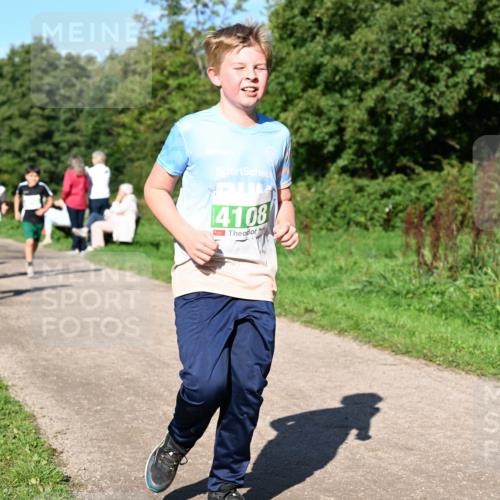 27.09.2026 - 35. Volkslauf durch das schöne Alstertal Dr. Thomas Lammeyer http://msf.ph/oto/10567066 27.09.2026 10:41:58 Laufen 4108 meine-sportfotos.de