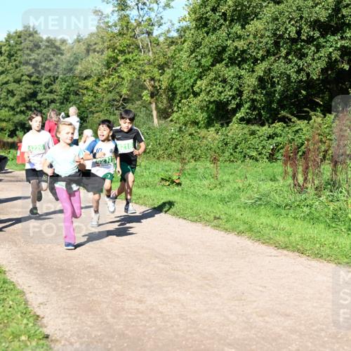 27.09.2026 - 35. Volkslauf durch das schöne Alstertal Dr. Thomas Lammeyer http://msf.ph/oto/10567080 27.09.2026 10:42:00 Laufen 4226, 4217, 4218 meine-sportfotos.de
