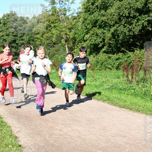 27.09.2026 - 35. Volkslauf durch das schöne Alstertal Dr. Thomas Lammeyer http://msf.ph/oto/10567085 27.09.2026 10:42:01 Laufen 4226, 10, 4218, 4217 meine-sportfotos.de