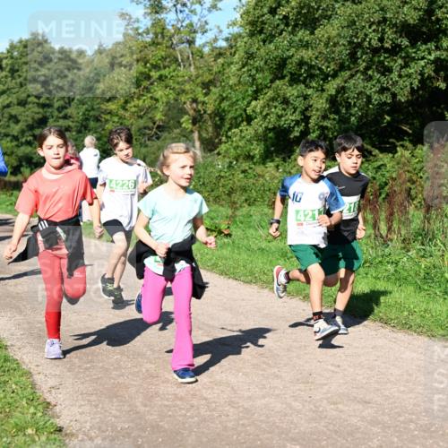 27.09.2026 - 35. Volkslauf durch das schöne Alstertal Dr. Thomas Lammeyer http://msf.ph/oto/10567090 27.09.2026 10:42:01 Laufen 14226, 10, 421, 218 meine-sportfotos.de