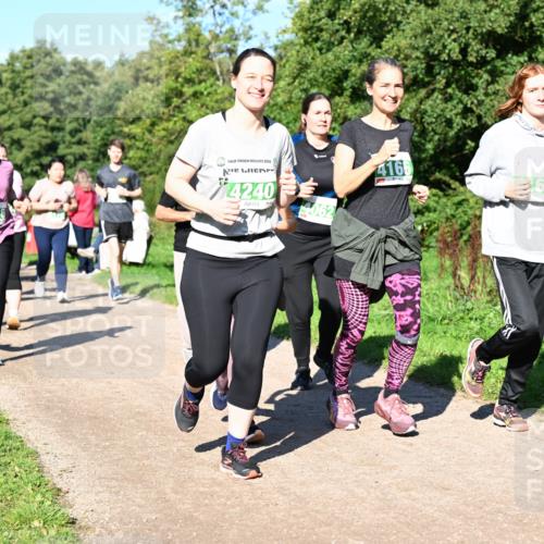 27.09.2026 - 35. Volkslauf durch das schöne Alstertal Dr. Thomas Lammeyer http://msf.ph/oto/10567154 27.09.2026 10:42:08 Laufen 2026, 4240, 4166, 167 meine-sportfotos.de