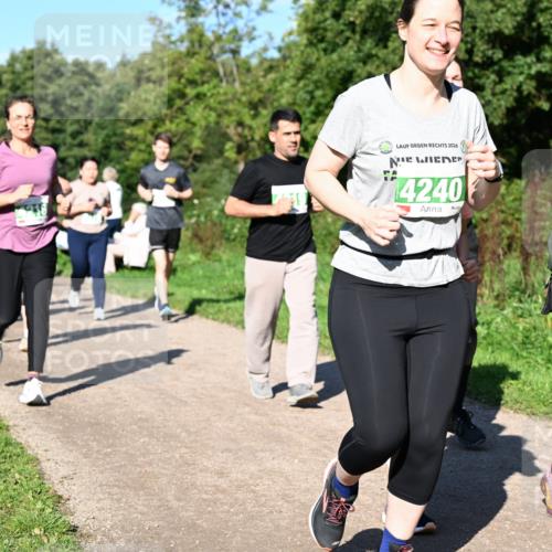 27.09.2026 - 35. Volkslauf durch das schöne Alstertal Dr. Thomas Lammeyer http://msf.ph/oto/10567161 27.09.2026 10:42:09 Laufen 2026, 14240, 4166 meine-sportfotos.de