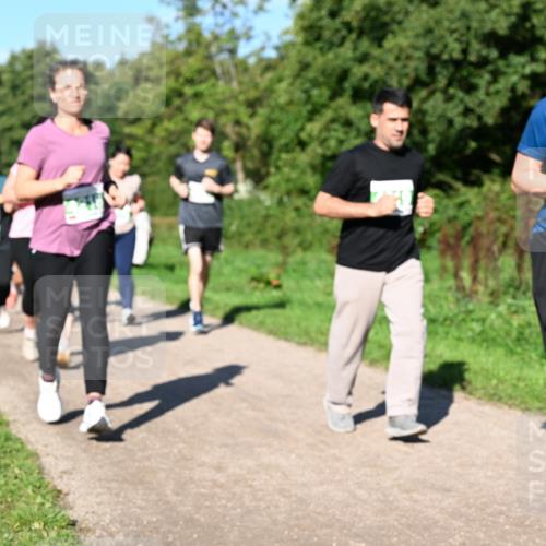 27.09.2026 - 35. Volkslauf durch das schöne Alstertal Dr. Thomas Lammeyer http://msf.ph/oto/10567167 27.09.2026 10:42:10 Laufen  meine-sportfotos.de