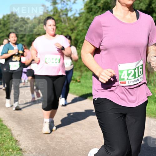 27.09.2026 - 35. Volkslauf durch das schöne Alstertal Dr. Thomas Lammeyer http://msf.ph/oto/10567181 27.09.2026 10:42:12 Laufen  meine-sportfotos.de