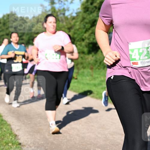 27.09.2026 - 35. Volkslauf durch das schöne Alstertal Dr. Thomas Lammeyer http://msf.ph/oto/10567183 27.09.2026 10:42:12 Laufen 4216 meine-sportfotos.de