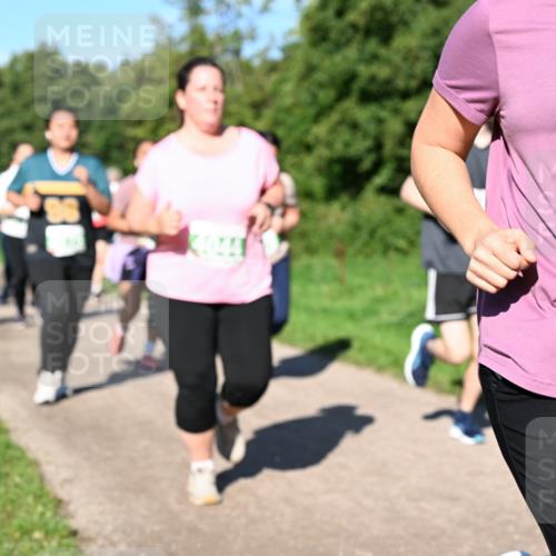 27.09.2026 - 35. Volkslauf durch das schöne Alstertal Dr. Thomas Lammeyer http://msf.ph/oto/10567184 27.09.2026 10:42:12 Laufen 4216 meine-sportfotos.de
