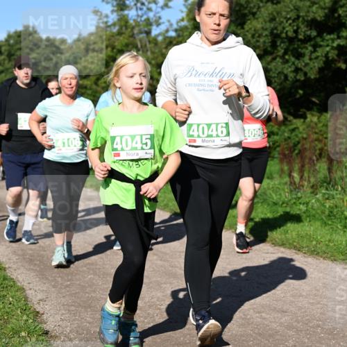 27.09.2026 - 35. Volkslauf durch das schöne Alstertal Dr. Thomas Lammeyer http://msf.ph/oto/10567222 27.09.2026 10:42:16 Laufen 21064045, 11, 1982, 4046, 1096 meine-sportfotos.de