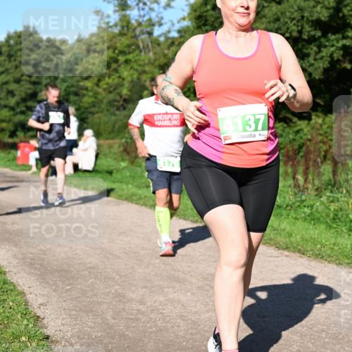 27.09.2026 - 35. Volkslauf durch das schöne Alstertal Dr. Thomas Lammeyer http://msf.ph/oto/10567318 27.09.2026 10:42:27 Laufen 4137 meine-sportfotos.de