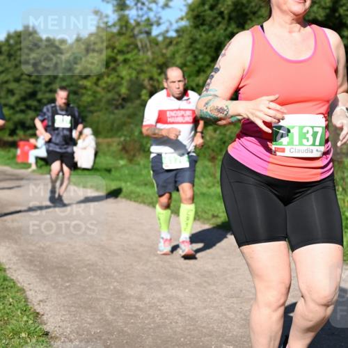 27.09.2026 - 35. Volkslauf durch das schöne Alstertal Dr. Thomas Lammeyer http://msf.ph/oto/10567320 27.09.2026 10:42:27 Laufen 137 meine-sportfotos.de