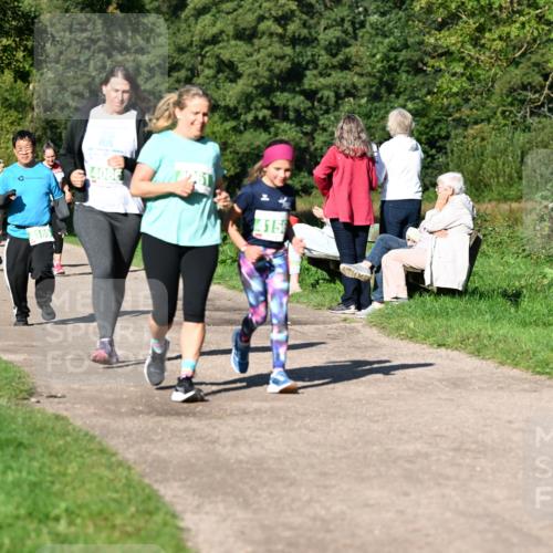 27.09.2026 - 35. Volkslauf durch das schöne Alstertal Dr. Thomas Lammeyer http://msf.ph/oto/10567446 27.09.2026 10:42:52 Laufen 68, 4086, 4156 meine-sportfotos.de